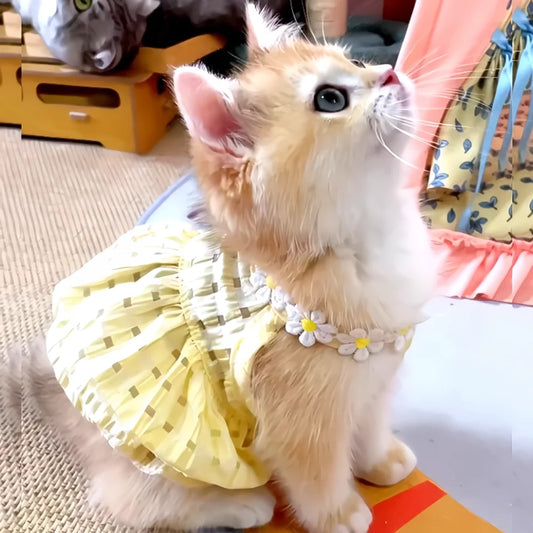 Pretty Small Cat Dress Floral Wreath Collar Pet Dress