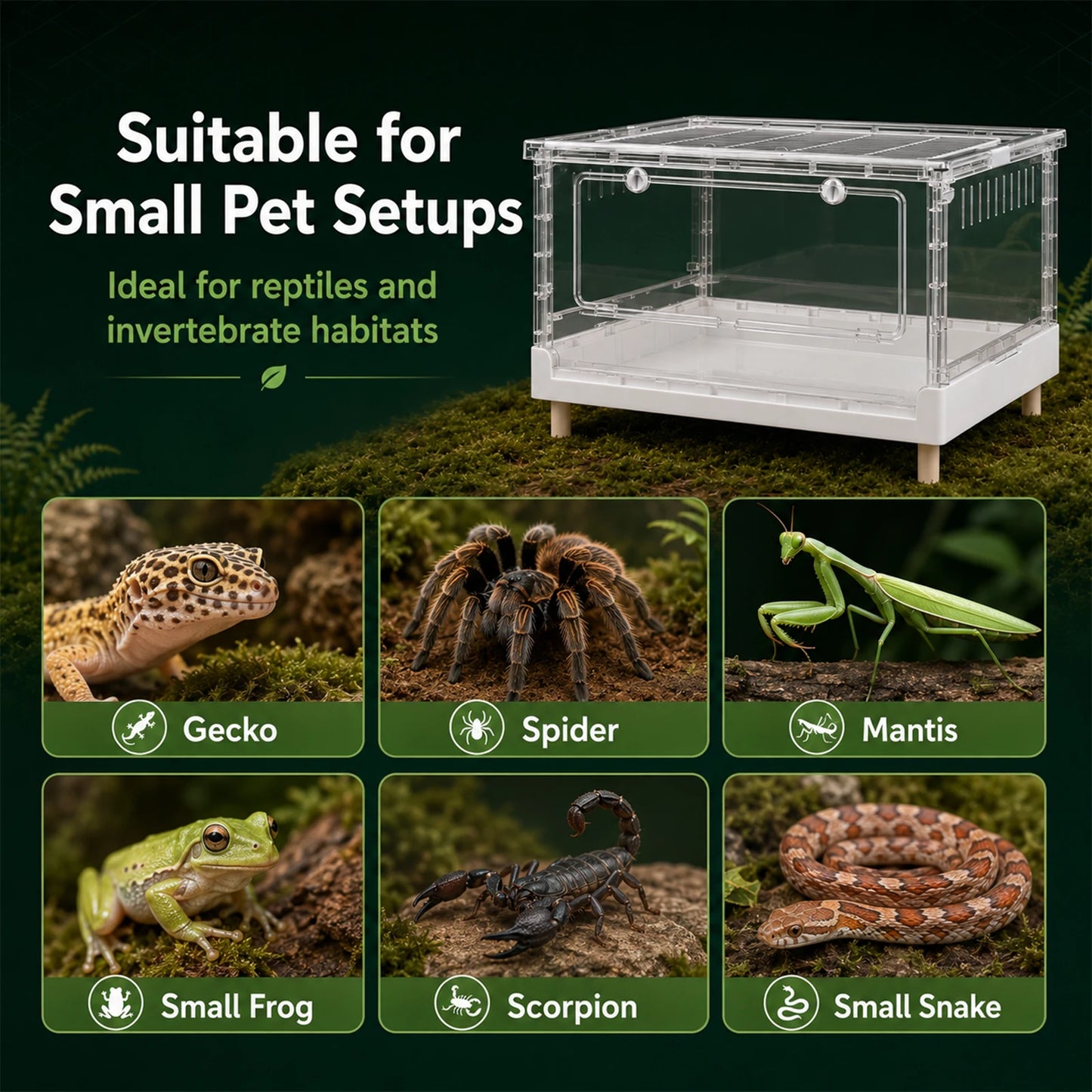Acrylic Reptile Terrarium With Front Opening Door Clear Ventilation