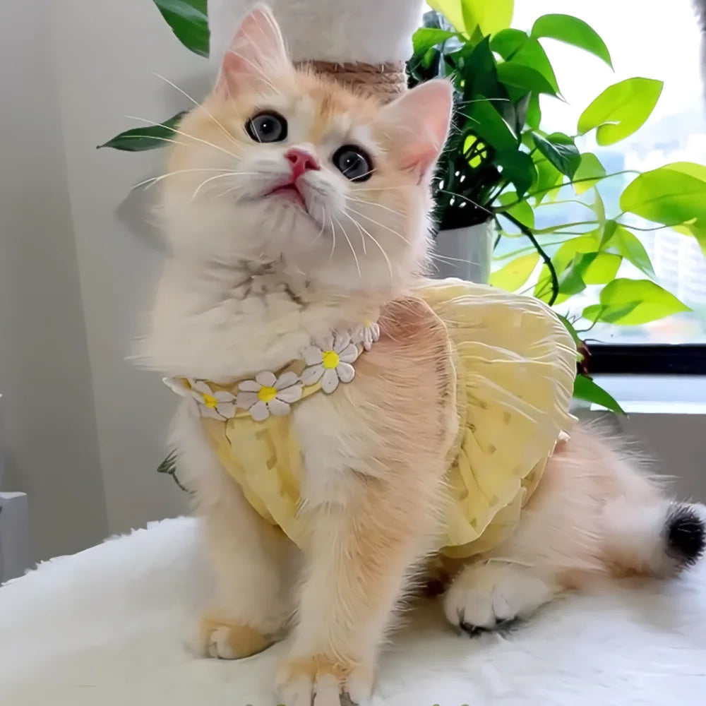Pretty Small Cat Dress Floral Wreath Collar Pet Dress