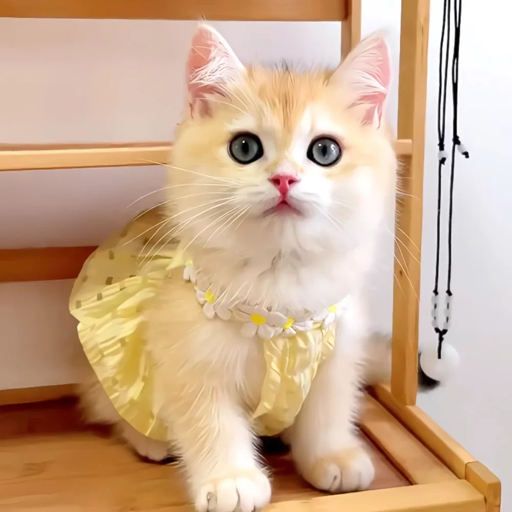 Pretty Small Cat Dress Floral Wreath Collar Pet Dress