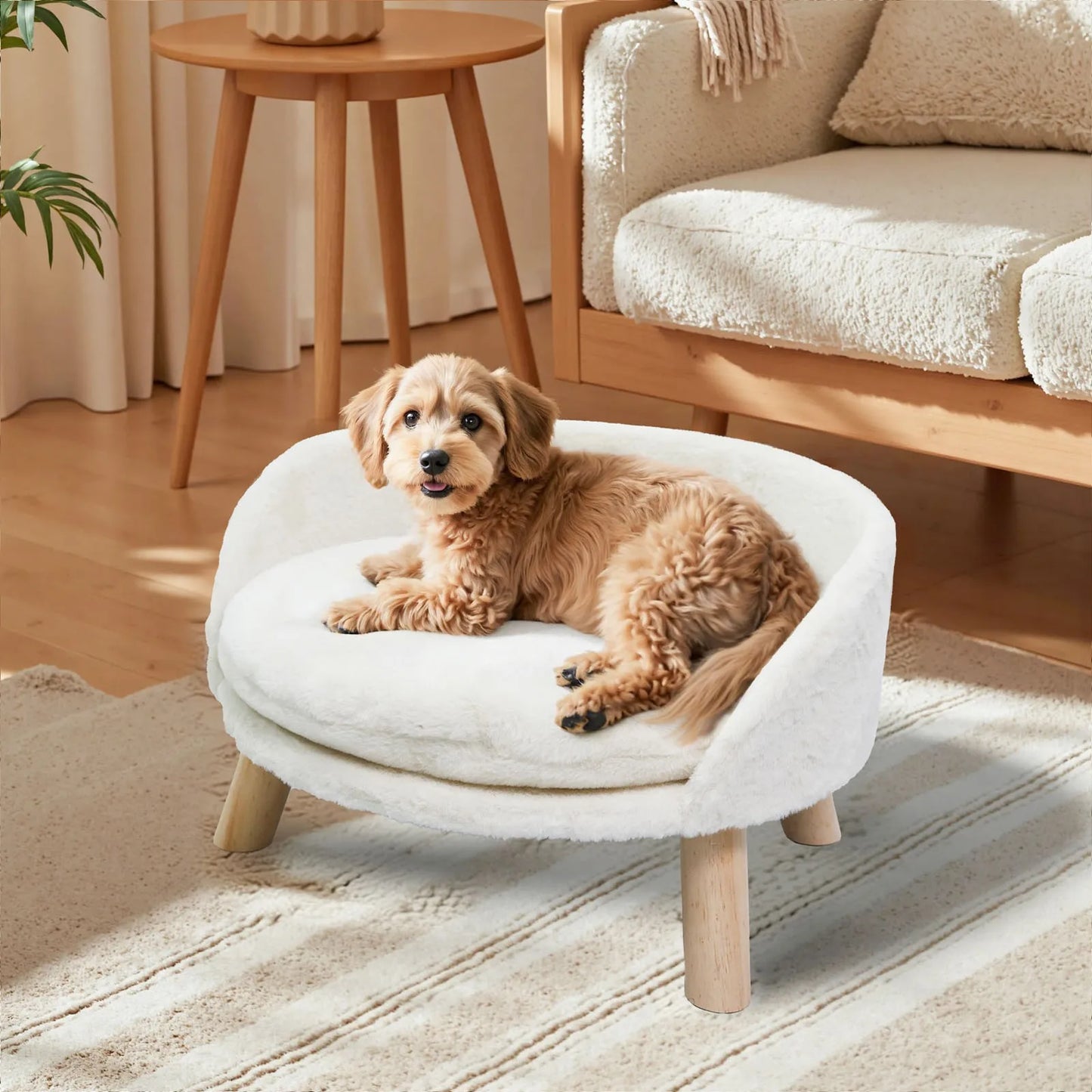 BORWART Ultra Soft Elevated Dog Cat Sofa Bed With Removable Waterproof Cushion