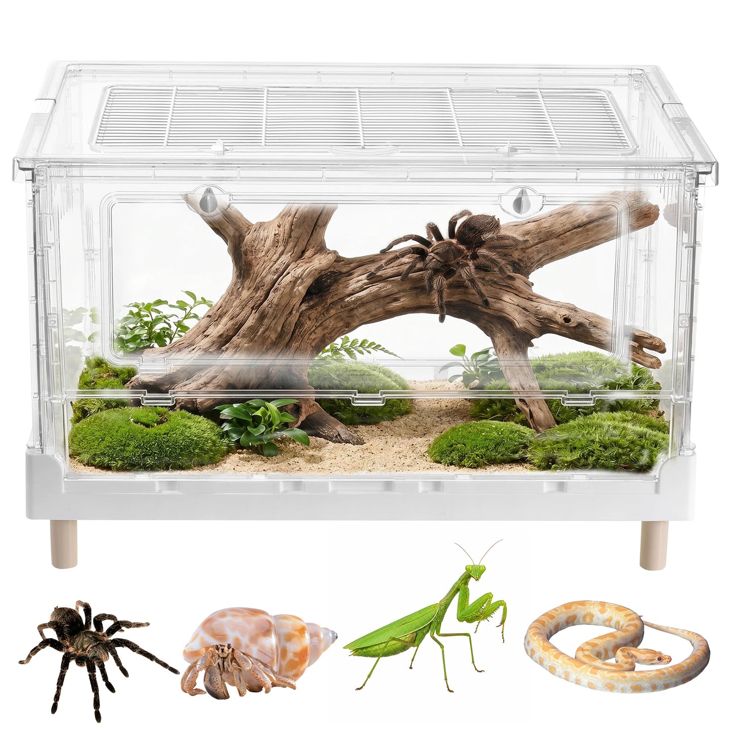Acrylic Reptile Terrarium With Front Opening Door Clear Ventilation